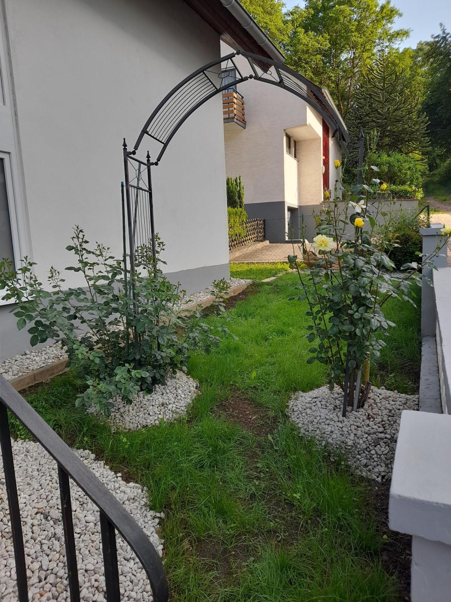 Gaestezimmer Bernkastel - Gaestehaus Barbara Eksteriør billede